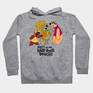 Help!... It's the Hair Bear Bunch! Hoodie